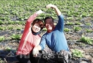 【화제의 귀농인】전북 남원 바울농산 유한진·박연순 부부 , 배추농사로 베트남 수출기여
