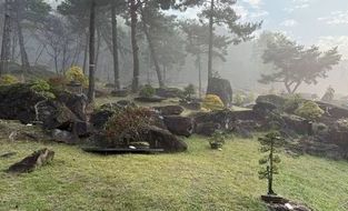 가을꽃의 개화 시기에 맞춰 유네스코 세계문화유산인 고인돌 유적지에서 개최되는 축제