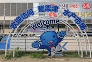 노량진수산시장