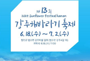 강주마을 일원에서 열리는 강주해바라기 축제