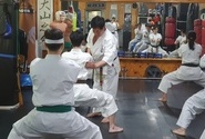 극진공수도의 길, 인성을 수련하다 – 신태균 관장이 말하는 무도의 본질과 극진관 한국본부의 비전